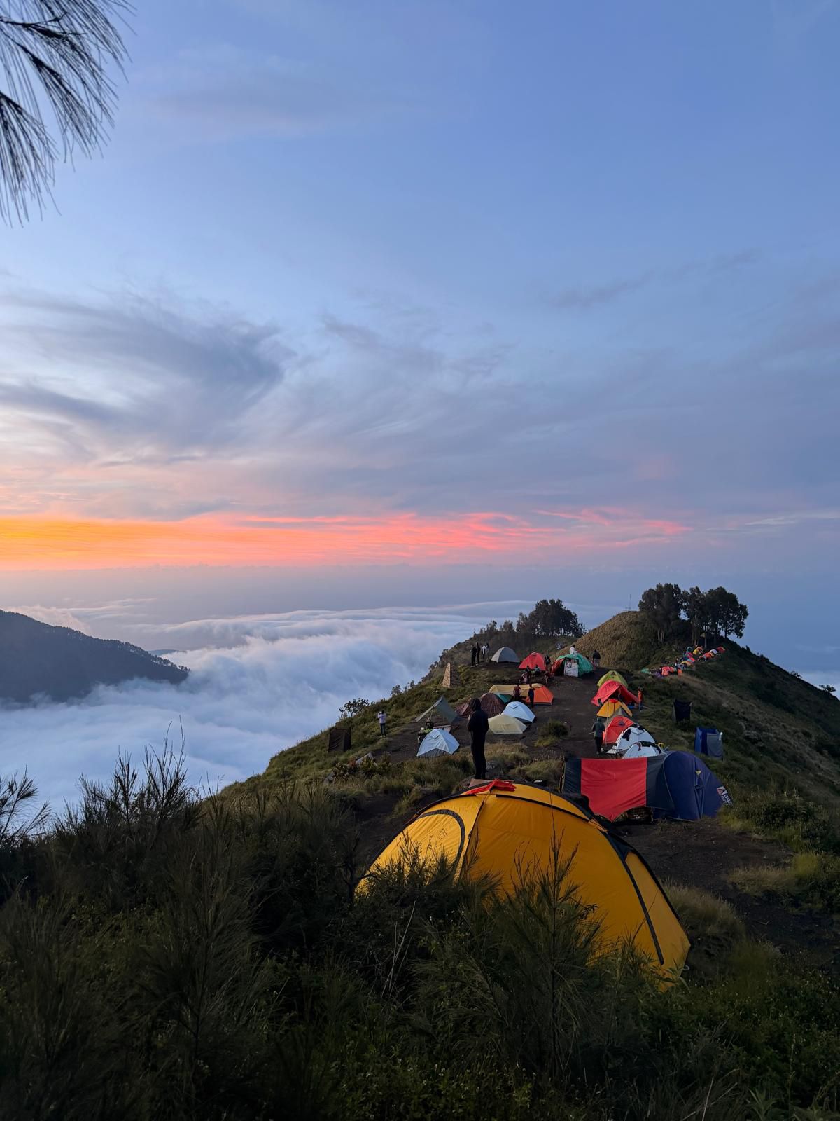 Tents pitched on the Sembalun rim above a sea of clouds at sunset