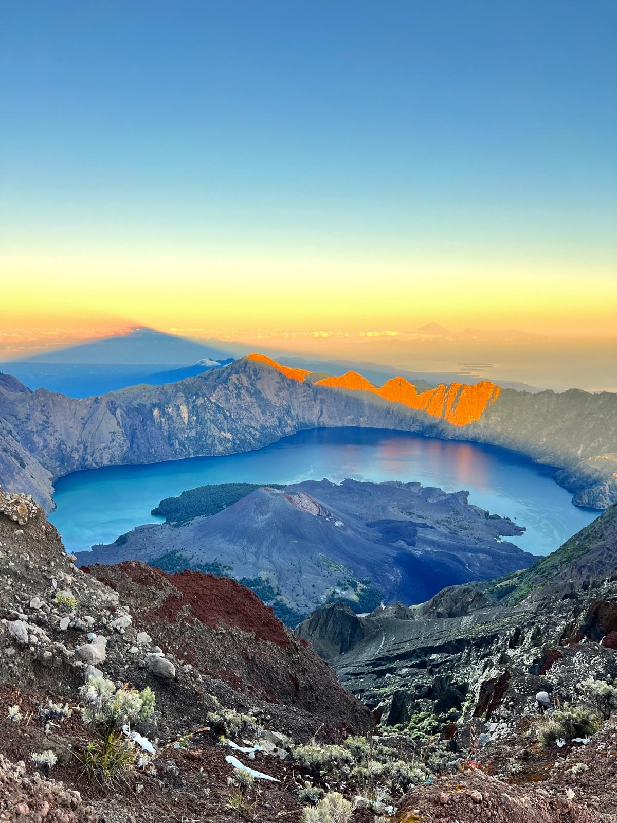 Golden-hour light over the Rinjani crater rim with a lone wind-bent tree